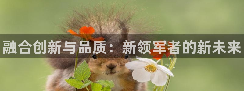 樱花视频.