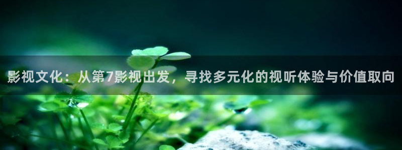 樱花视频在线免费观看