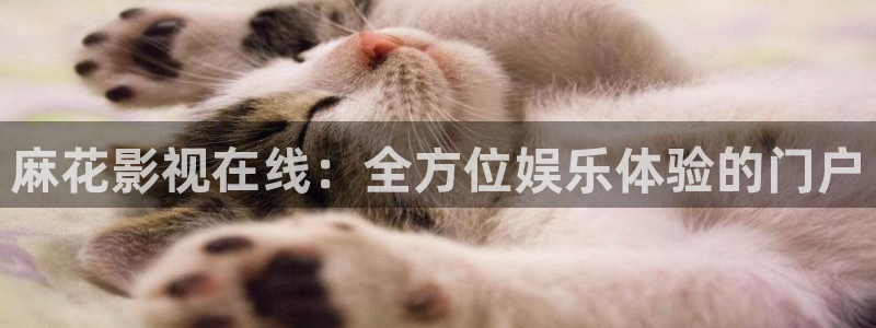 樱花视频高清免费看电视剧