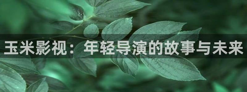 樱花视频网