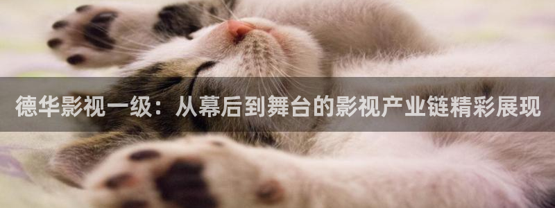 樱花视频高清在线观看免费