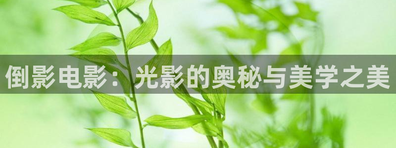 可以触碰你的深处吗樱花视频免费