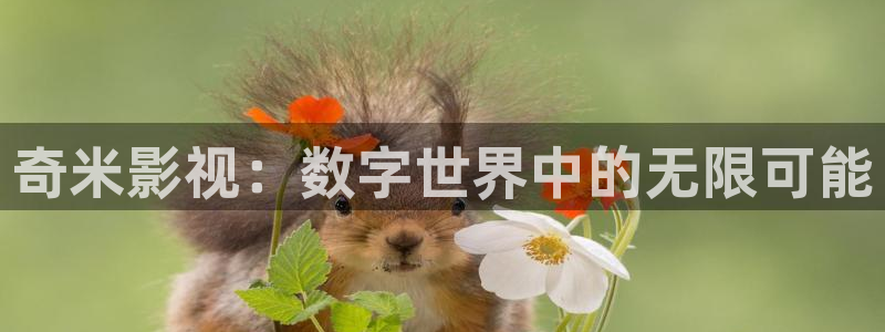 9樱花视频