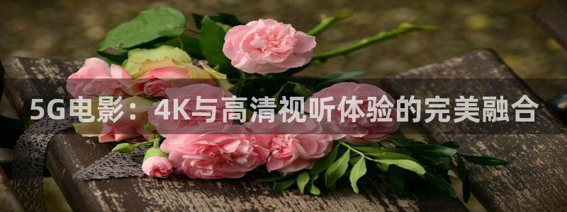 樱花影视在线电视剧免费观看