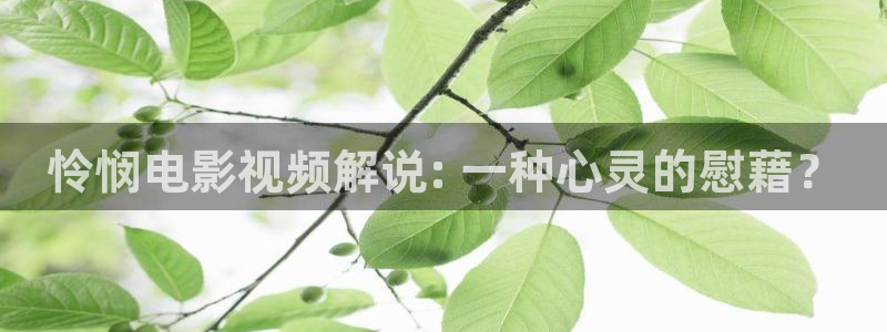 樱花视频 视频