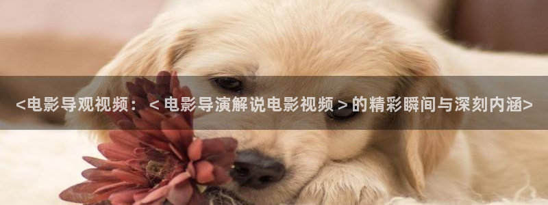 樱花影院官网