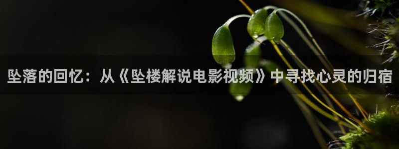 樱花影视免费在线看