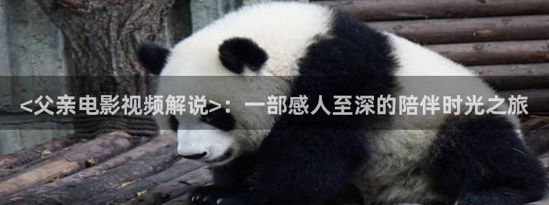 樱花视频啊
