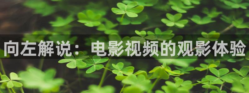 樱花影视免费在线看电视