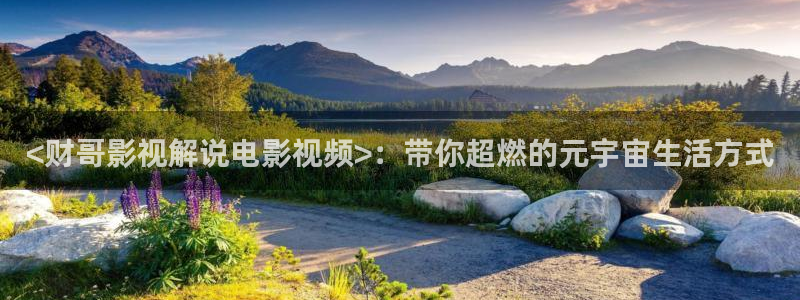 樱花影视免费在线看电视