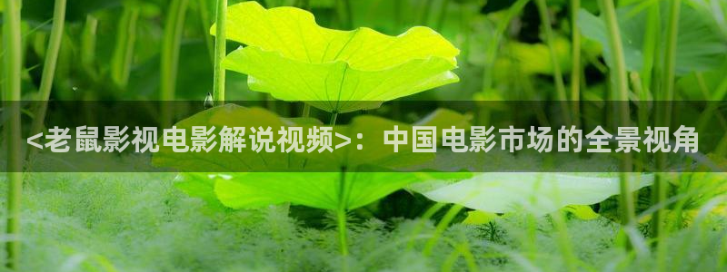 樱花视频免费观看.