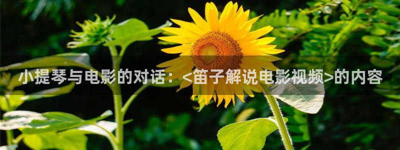 樱花视频电影好看的电视剧