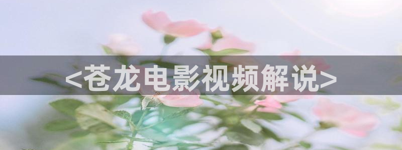 樱花视频高清在线观看