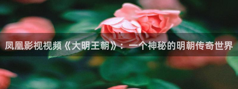 樱花影视频道