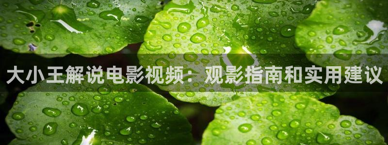 免费观看樱花影