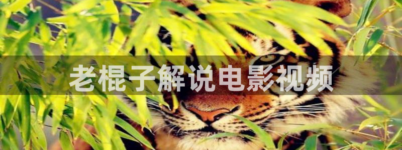 樱花影视免费在线看
