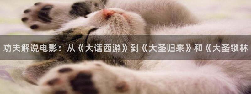樱花影院高清电影好看的电视剧