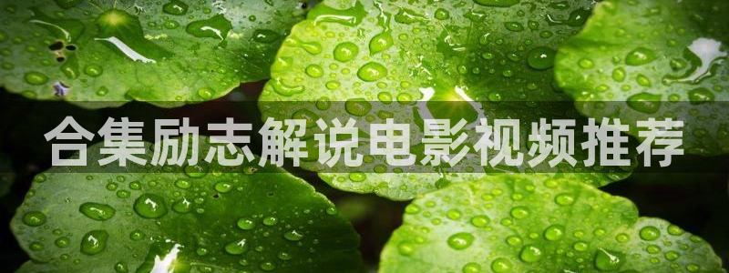 亚洲樱花视频