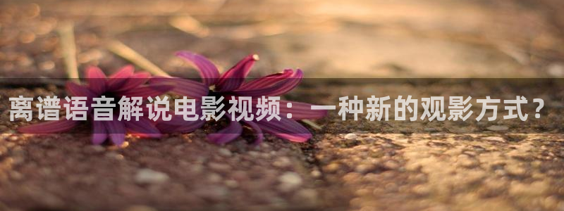 新闻图片