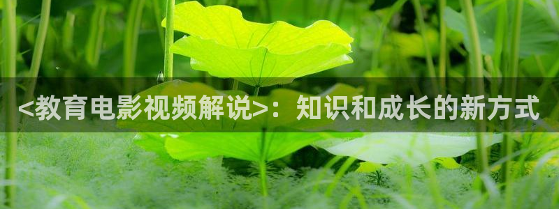 ,樱花影院
