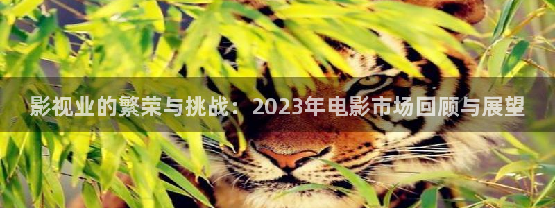樱花视频在线入口