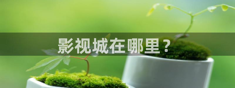 樱花视频电视剧高清资源