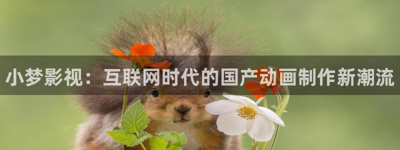 可以触碰你的深处吗樱花视频免费