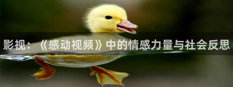 樱花影视最新地址发布页