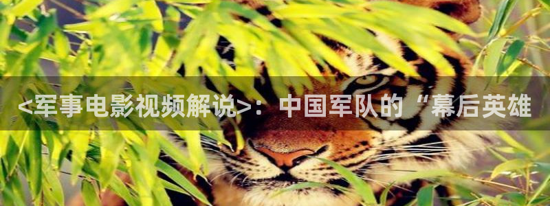 樱花影视免费在线看电视