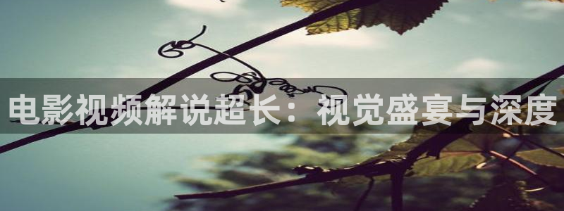 樱花视频广告